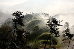 高霊池山洞(コリョンチサンドン)古墳群の近景