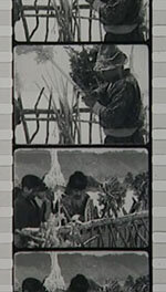 映画フィルムの画像