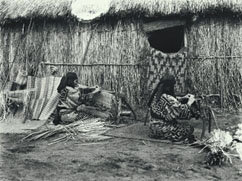 「ござ編みの様子」の写真