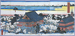 桜の意匠のイメージ1