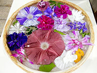 水盤展示の画像