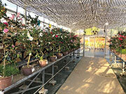 展示風景（東屋）の画像