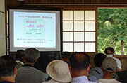 桜草の観察会のイメージ2