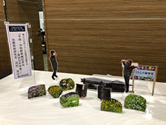 第307回観察会
