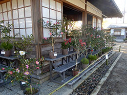 展示風景（東屋）