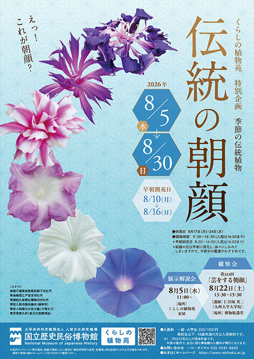 「伝統の朝顔」（2026年度）