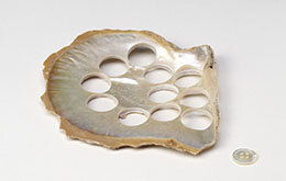 白蝶貝・白蝶貝からできたボタン