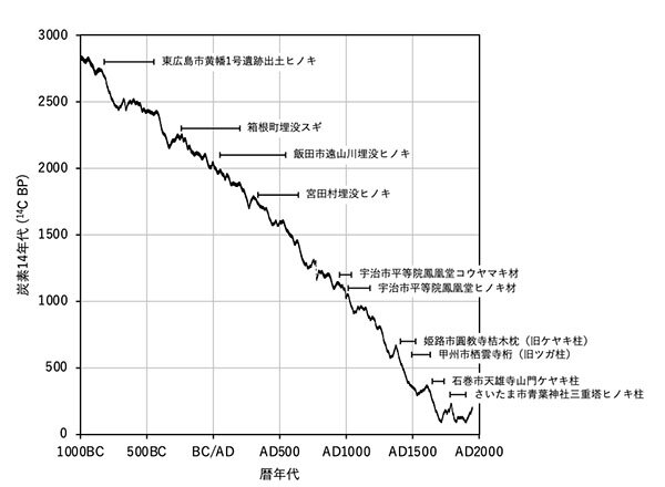 IntCal20較正曲線に採用された日本産樹木の一覧、左上から右下に伸びる曲線がIntCal20，年輪の年代範囲を資料名の左に示す