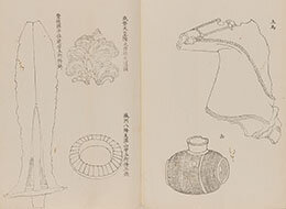 いにしえが、好きっ！－近世好古図録の文化誌－ | お知らせ