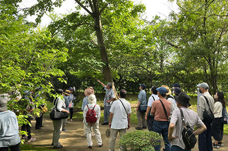 第304回 観察会「くらしの植物苑の地衣類」