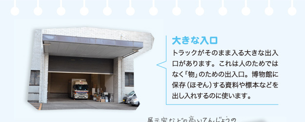 大きな入口 トラックがそのまま入る大きな出入口があります。これは人のためではなく「物」のための出入口。博物館に保存（ほぞん）する資料や標本などを出し入れするのに使います。