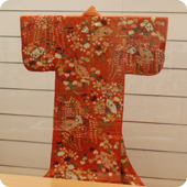 Women's clothes (kimono)