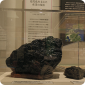 福岡県（ふくおかけん）宮若市（みやわかし）でほられた石炭 写真