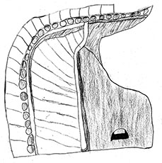 作品(11)
