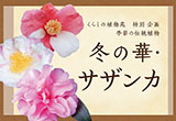 くらしの植物苑